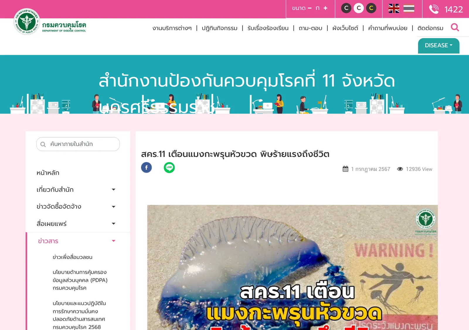 Disease control office news page with a warning graphic showing a blue jellyfish on sand and a Thai headline.