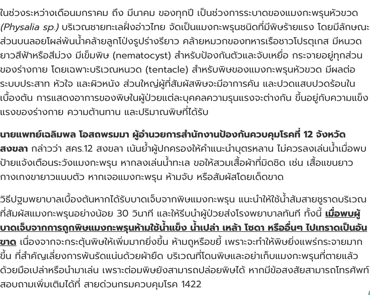 Thai health office news text about bluebottle jellyfish on the Gulf of Thailand coast, with a paragraph on first aid and a line giving the hotline number.